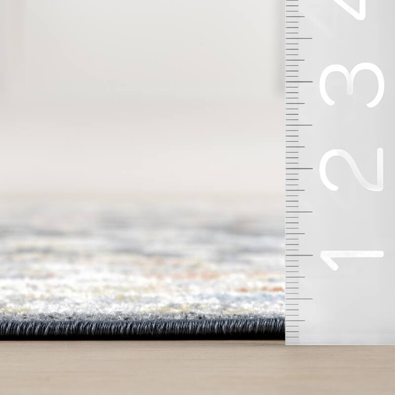 Nuloom Breigh Medallion Bordered Machine Washable Area Rug
