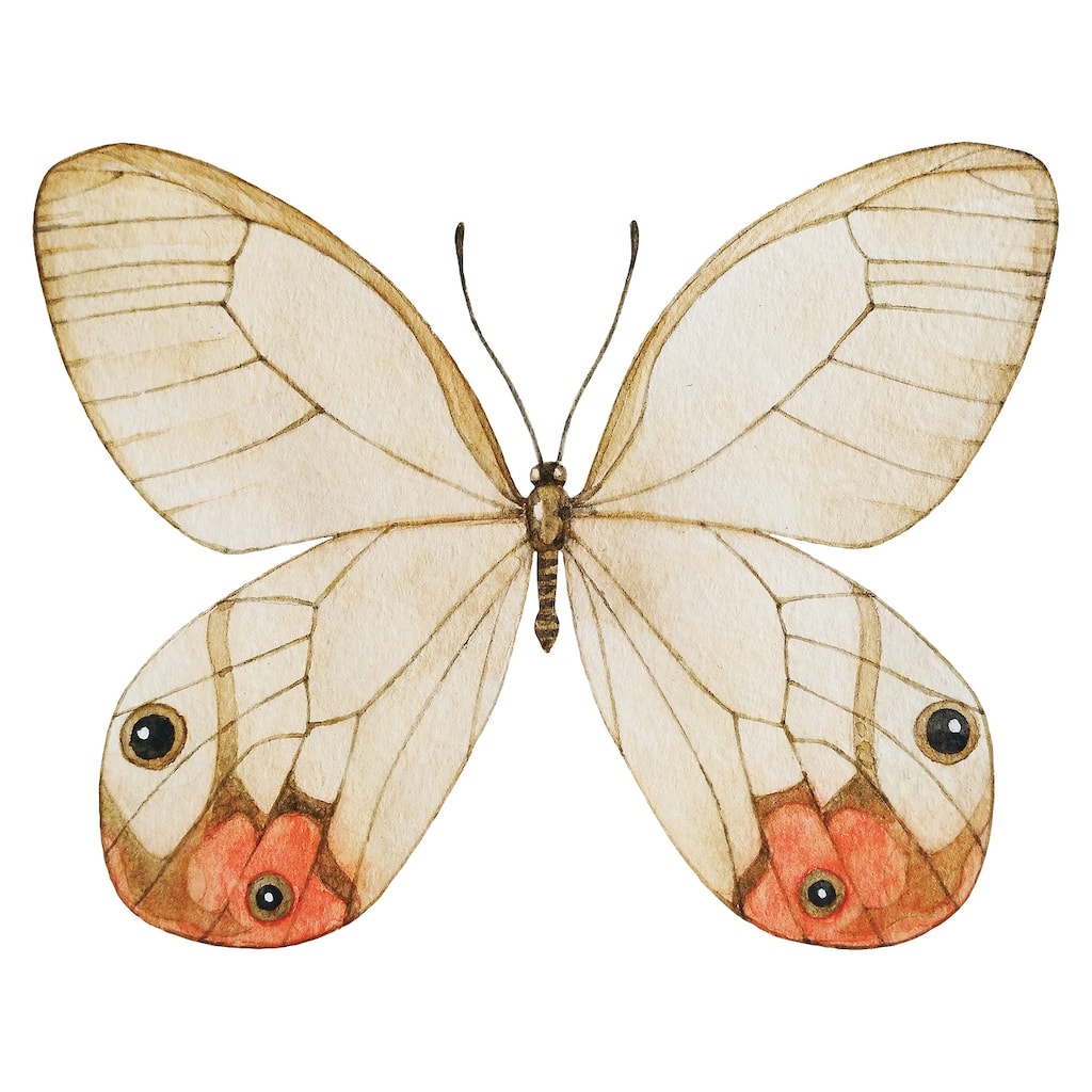 WallPops Butterfly Headboard Wall Decal