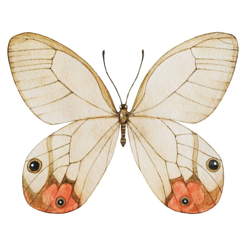 WallPops Butterfly Headboard Wall Decal