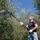 preview thumbnail 6 of 10, 2-In-1 Cordless Pole Saw Cordless with Pole for Tree Trimming - 9.06" x 4.33" x 51.6"