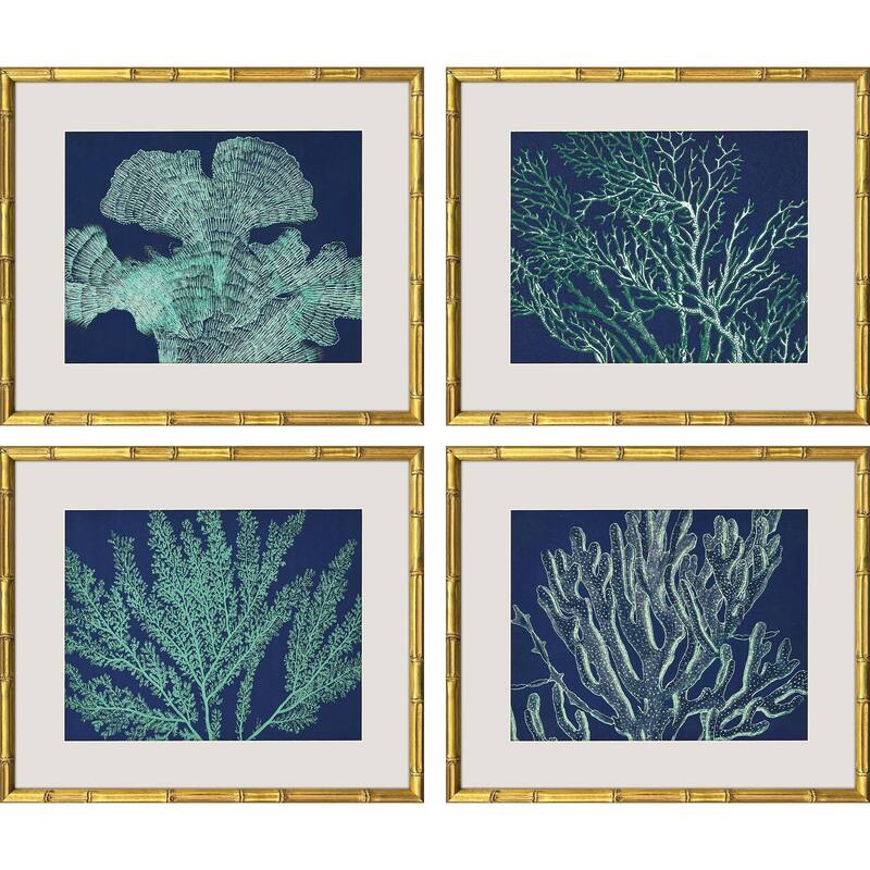 Paragon Sea Garden Framed Art - Set of 4