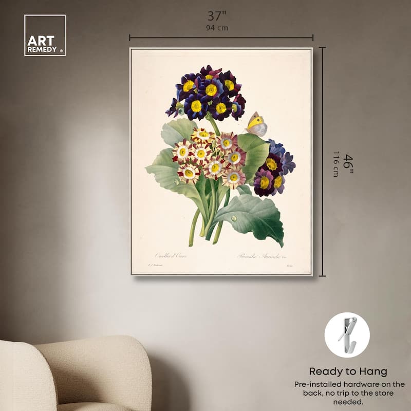 Auricula Varieties Canvas by Art Remedy
