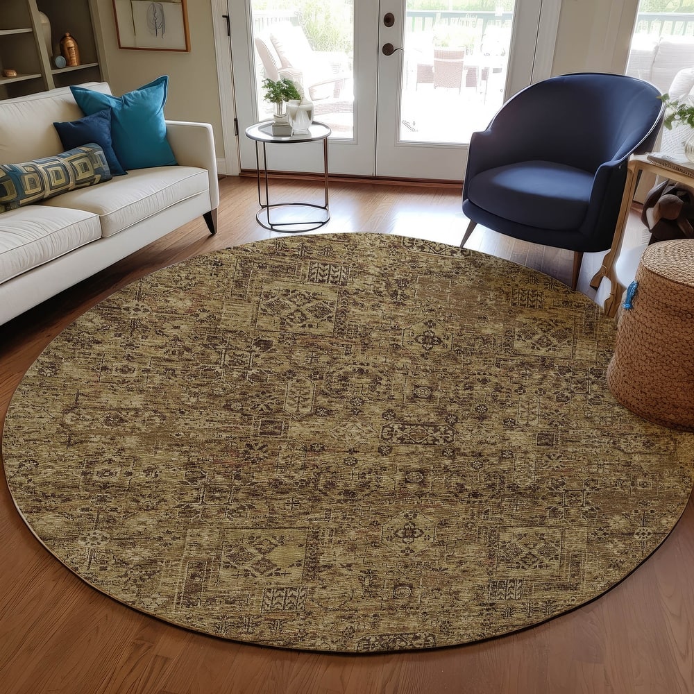 Machine Washable Indoor/ Outdoor Chantille Vintage Traditional Rug