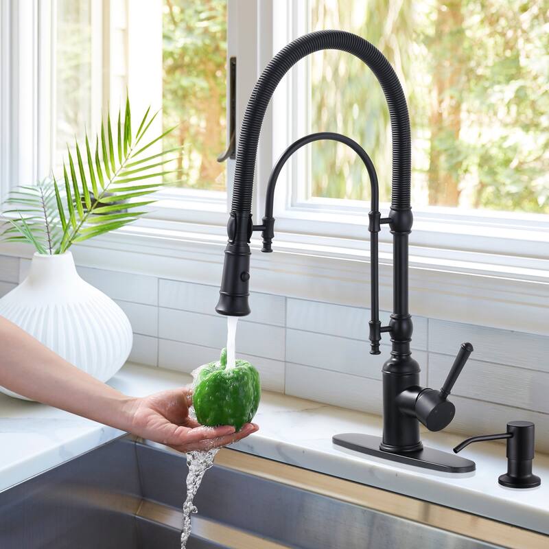 WOWOW Single Handle Gooseneck Pull Down Sprayer Kitchen Faucet