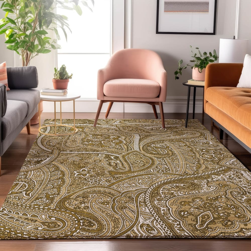 Premium Washable Super Soft Traditional Paisley Mayfield Rug