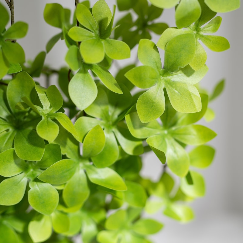 Green Artificial Enkianthus Perulatus Branch (1 Stem)