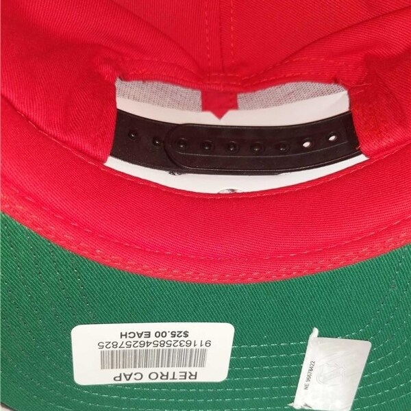 vintage red wings hat