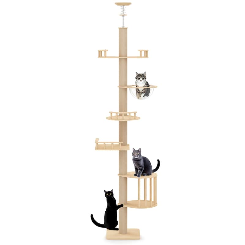 Floor-to-Ceiling Adjustable Cat Tree Tower with Acrylic Capsule - Natural - Natural