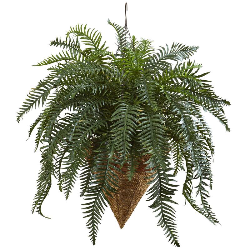 Large River Fern Hanging Basket - 33" Indoor Plant Decor - Cascading Greenery & Wicker Design - Home Accent