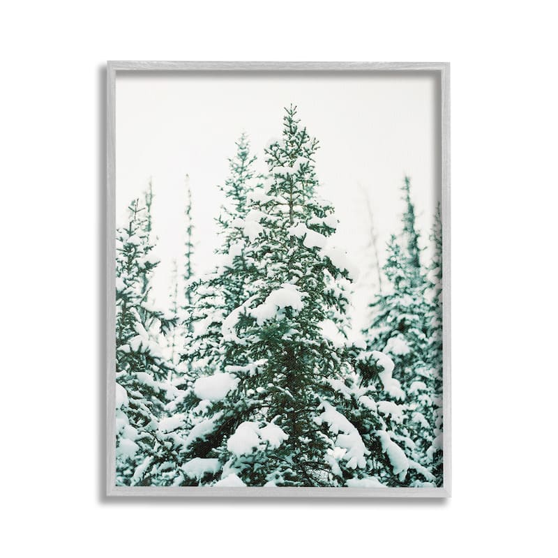 Stupell Woodland Fir with Snow Framed Giclee Art Design By Justine Milton