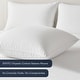 preview thumbnail 3 of 12, Delara Throw Pillow Inserts Organic Cotton, Down Alternative Fill, Set of 2