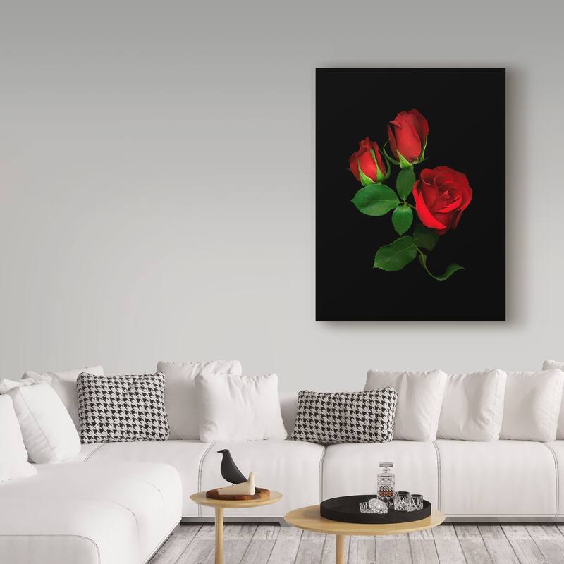 Susan S. Barmon 'Red Roses' Canvas Art