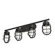 preview thumbnail 12 of 20, Hunter Starklake 4 Light Vanity Wall Light, Industrial, Cage, Rustic