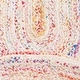 preview thumbnail 22 of 118, SAFAVIEH Georgine Handmade Braided Bohemian Cotton Rug