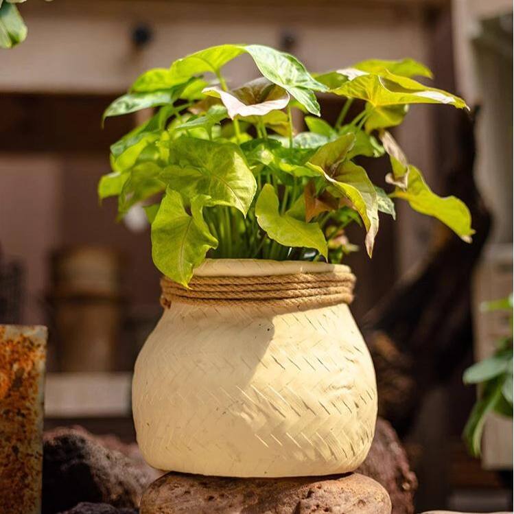 RusticReach Faux Bamboo Woven Cement Planter