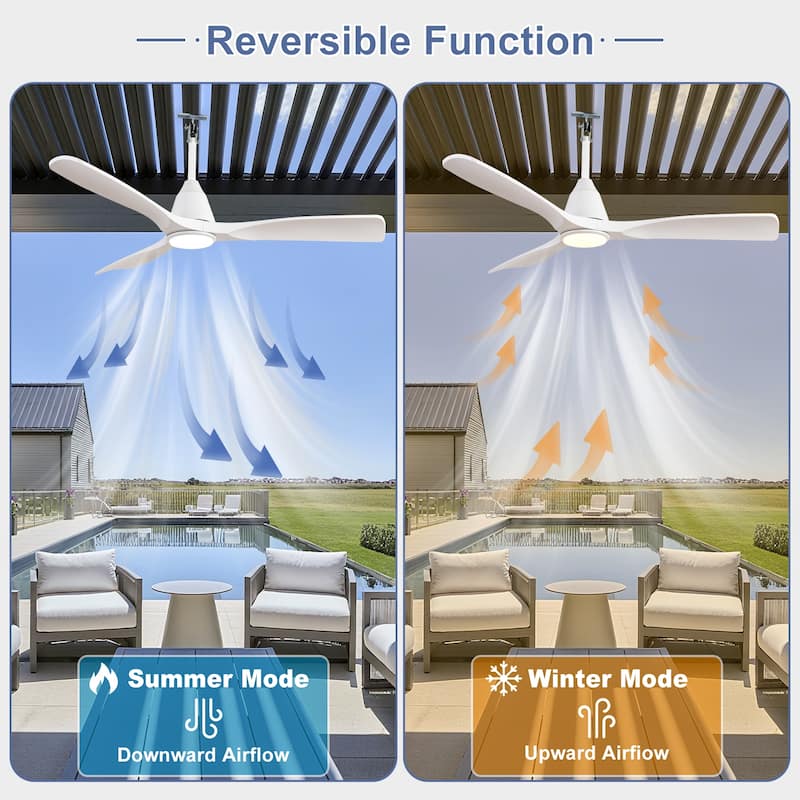 Outdoor Ceiling Fan with Light: Plug-in Hanging Fan, Remote App Control, 3CCT, 6-Speed