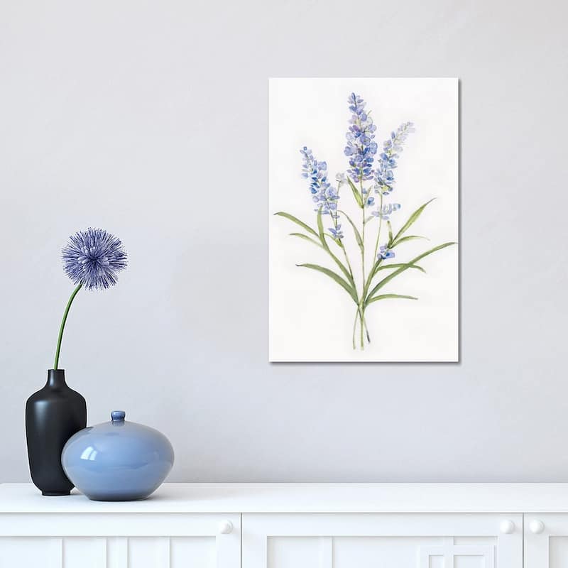 iCanvas "Dainty Botanical Lavender" by Sally Swatland Canvas Print - 18x12x1.5