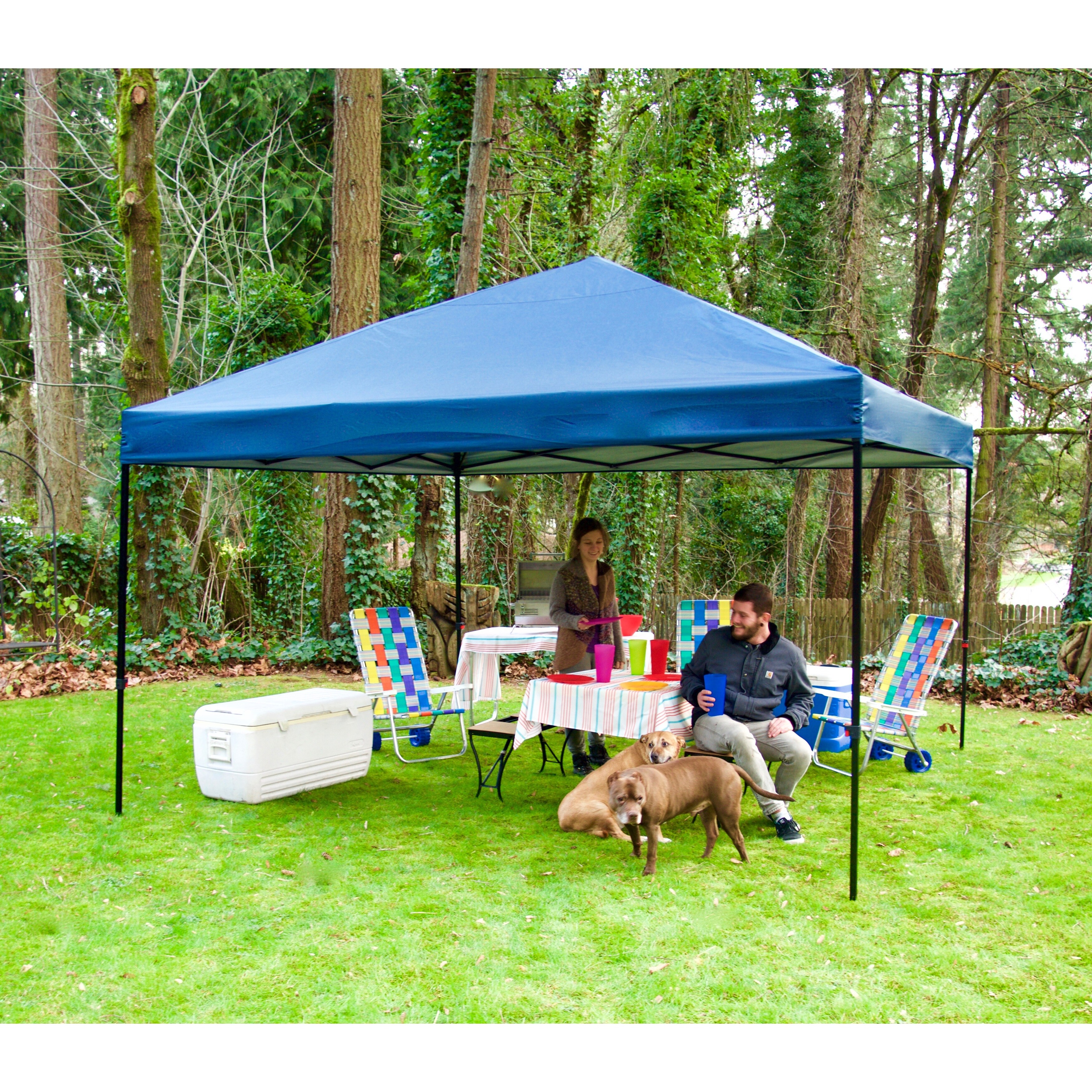 Blue pop up gazebo cheap