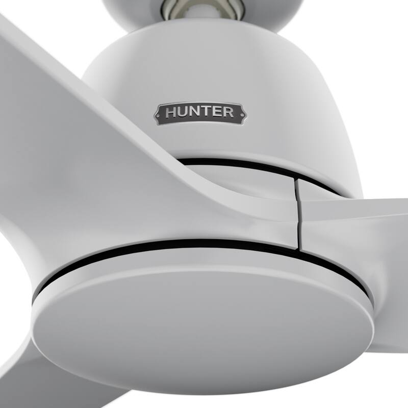 Hunter + Jasmine Roth 52" Malden Ceiling Fan and Handheld Remote - Contemporary, Modern - Designer!