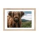 preview thumbnail 12 of 18, iCanvas "Portrait Of A Young Scottish Wooly Highland Cattle" by Michael Schauer PFA Natural - 16x24x1