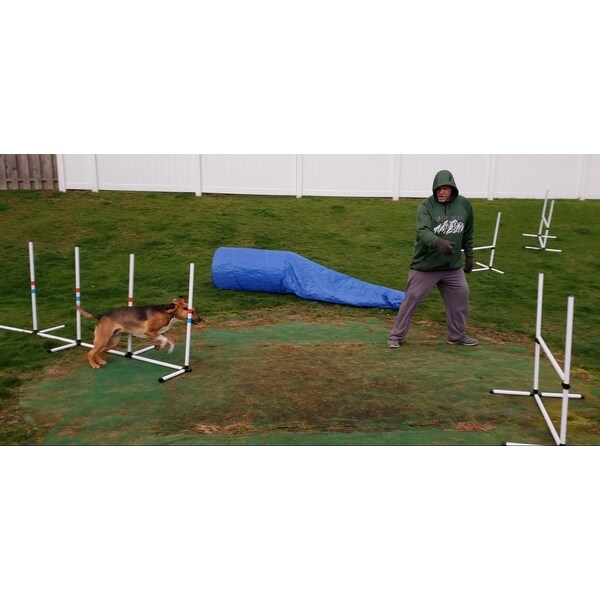 outdoor dog agility course near me