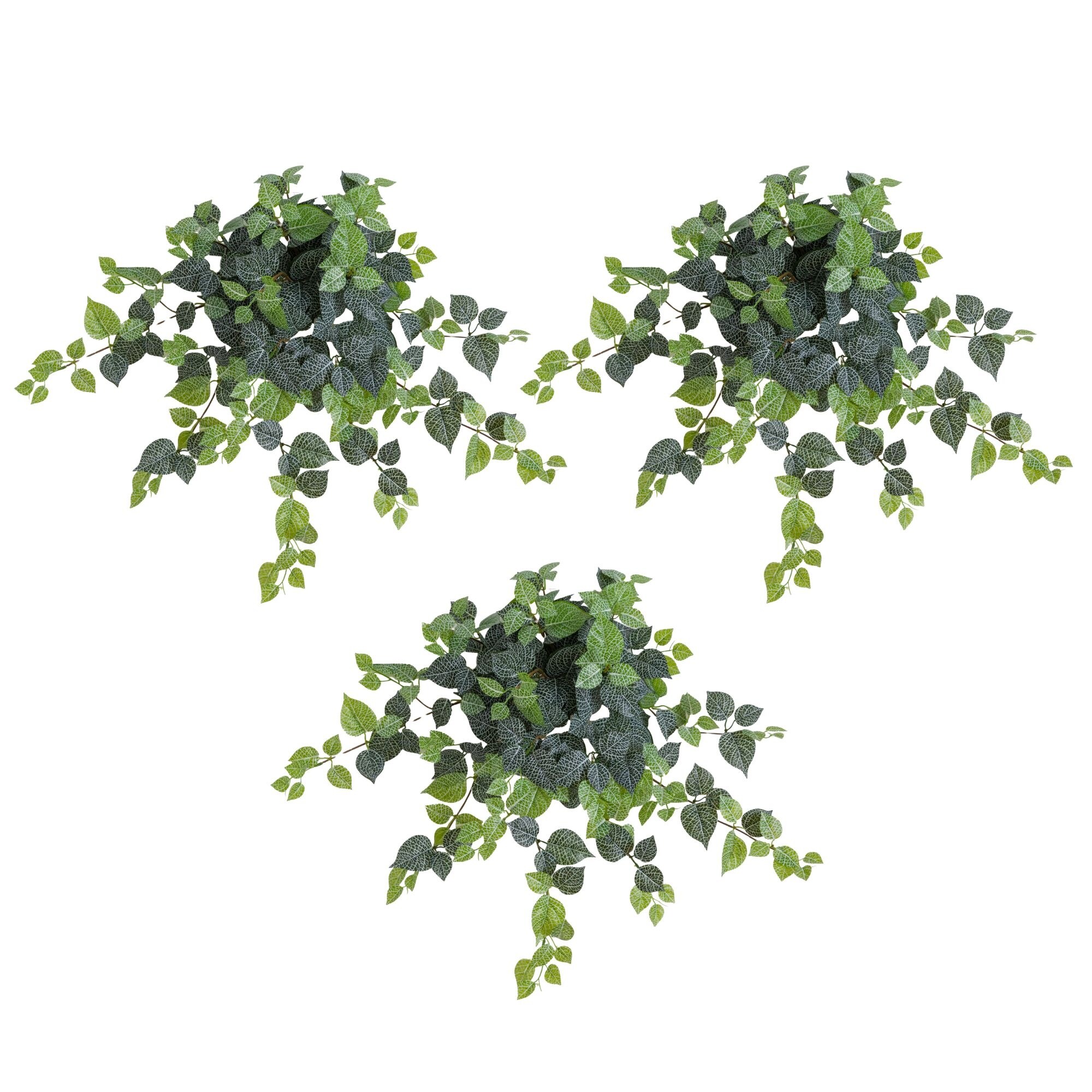 gold pothos plant United Nursery Golden Pothos Totem Plant 36. in to 40 in. Tall in 10 in. White Decor Pot main image 0