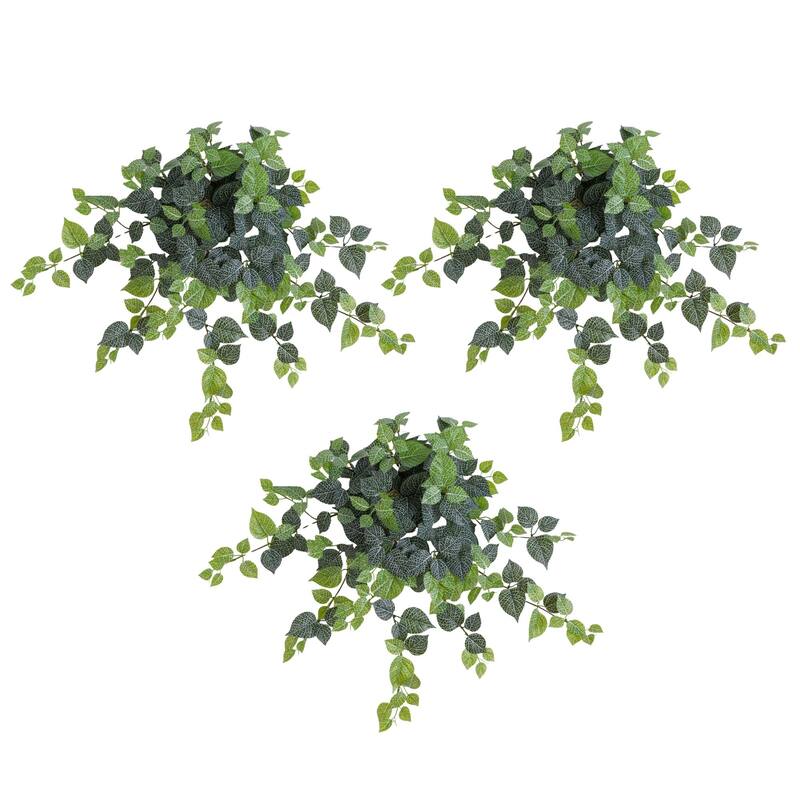 24-in UV Resistant Artificial Fittonia Hanging Plant - Set of 3