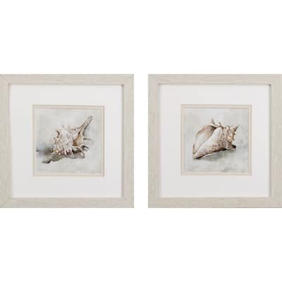 Seashell Textures S/2 Framed Art Under glass
