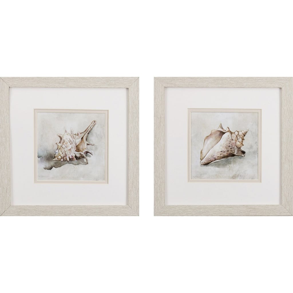 Seashell Textures S/2 Framed Art Under glass