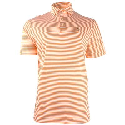 Polo Ralph Lauren Men's Classic Fit Soft Cotton Striped Polo