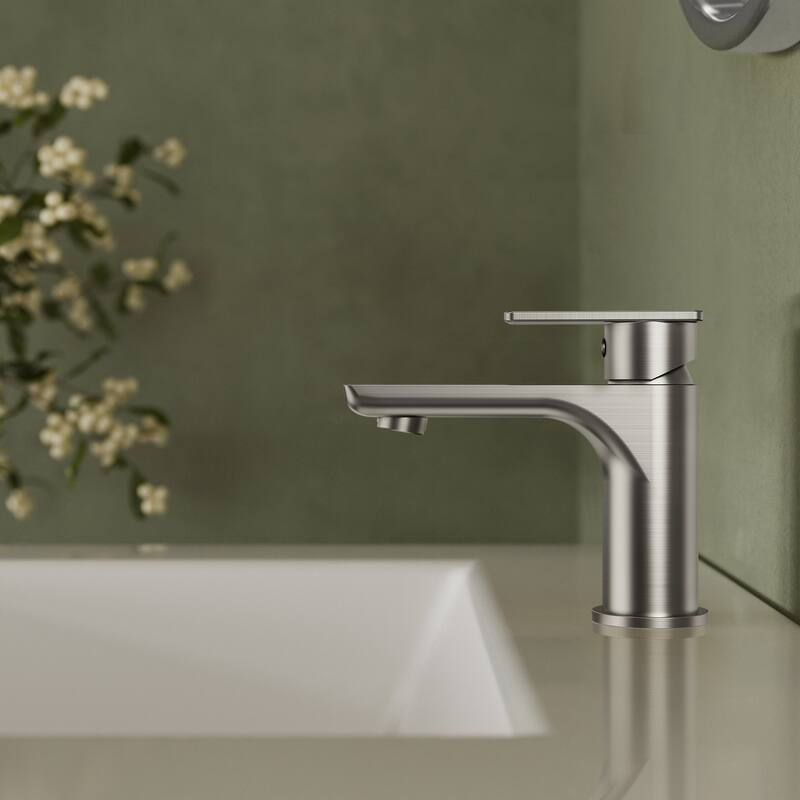 Single Hole Bathroom Faucet with Drain Assembly, Single Handle Bathroom Sink Faucet