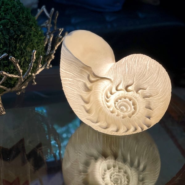 White Sandstone Finish Frilled Nautilus Shell Accent Lamp