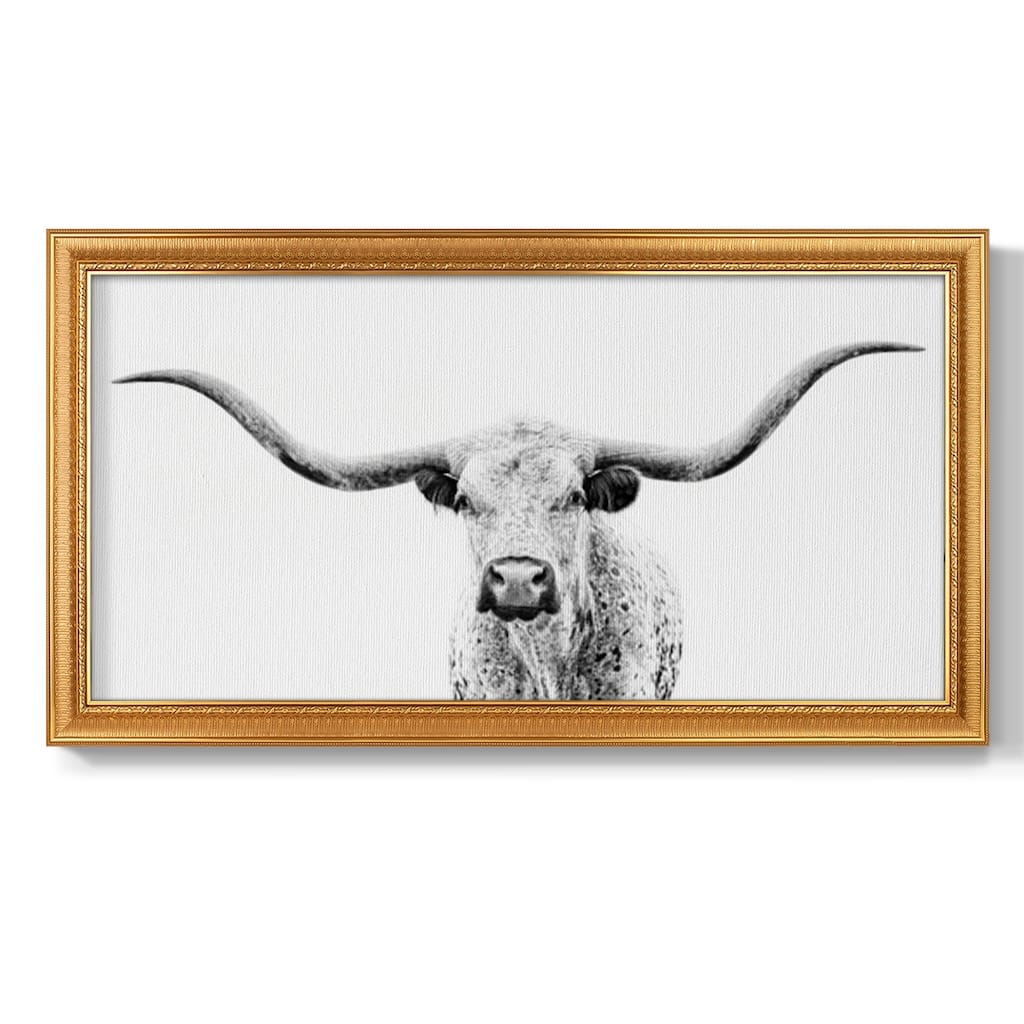 Longhorn Gaze Premium Framed Canvas- Ready to Hang