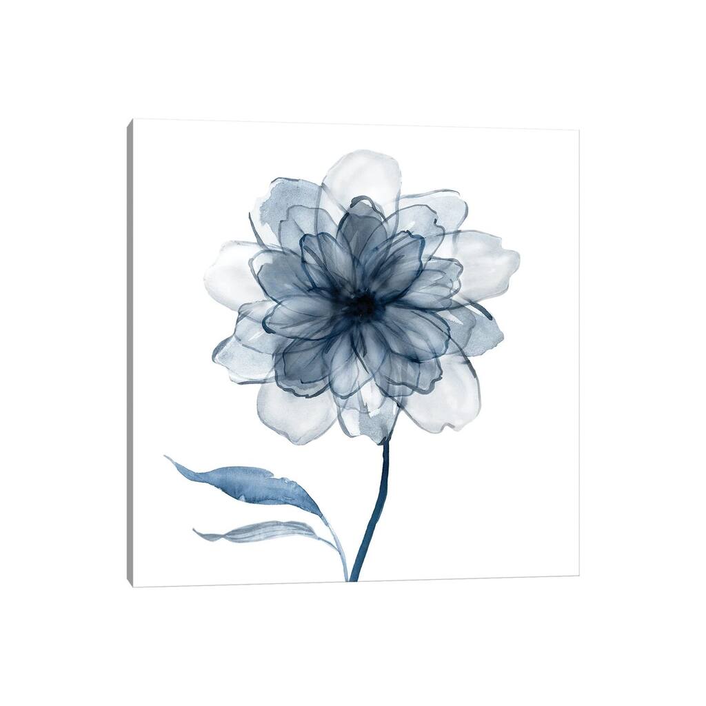 iCanvas "Indigo Bloom IV" by Carol Robinson Canvas Print