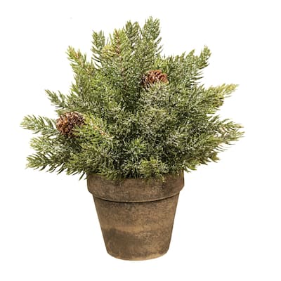 Frosted Spruce Sphere w/Pot 9" - Green