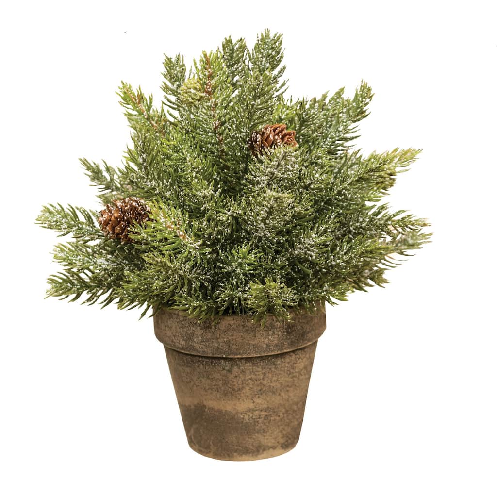 Frosted Spruce Sphere w/Pot 9" - Green