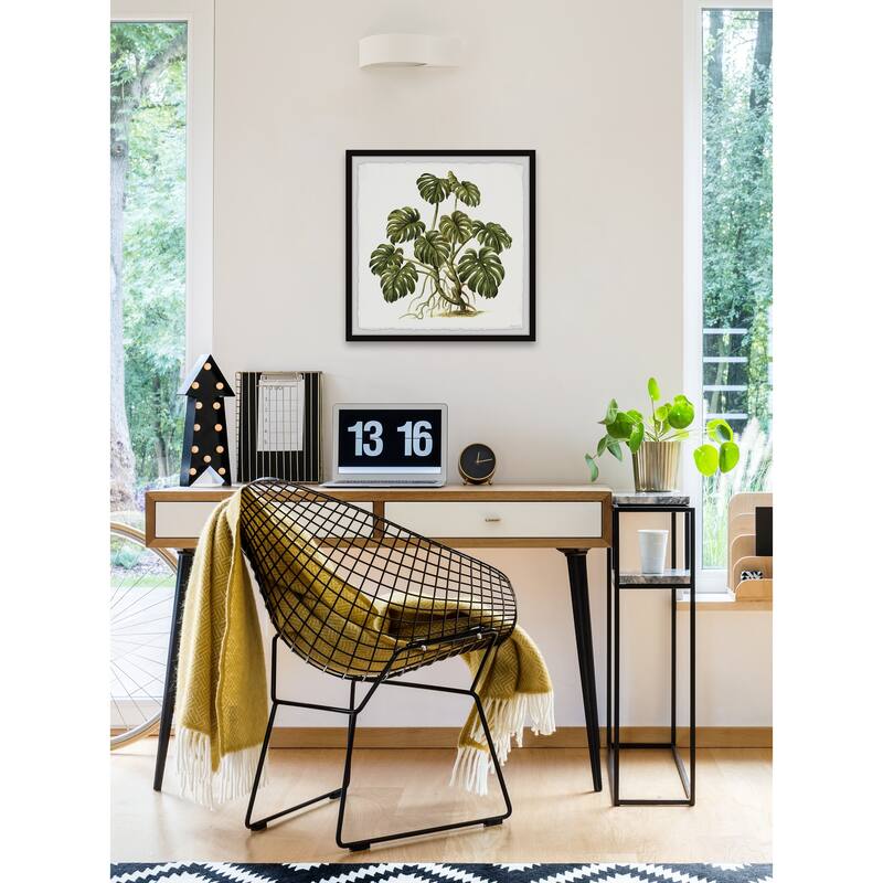 Exotic Palms Framed Print