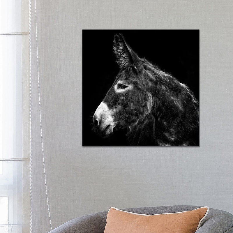 iCanvas "Donkey Portrait I" by PHBurchett Canvas Print - 26x26x1.5