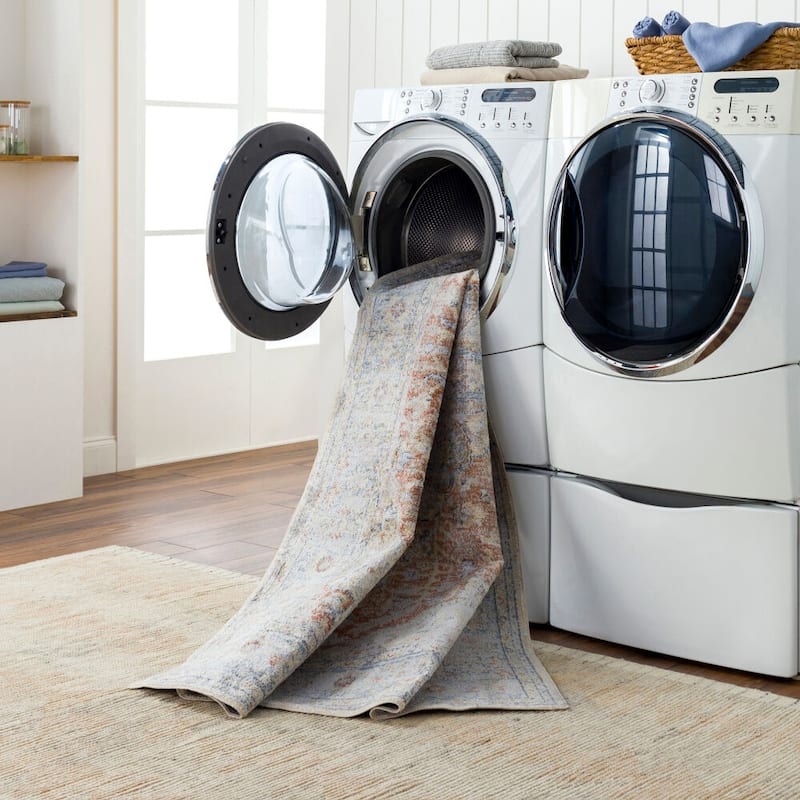 Livabliss Lillian Machine Washable Distressed Area Rug
