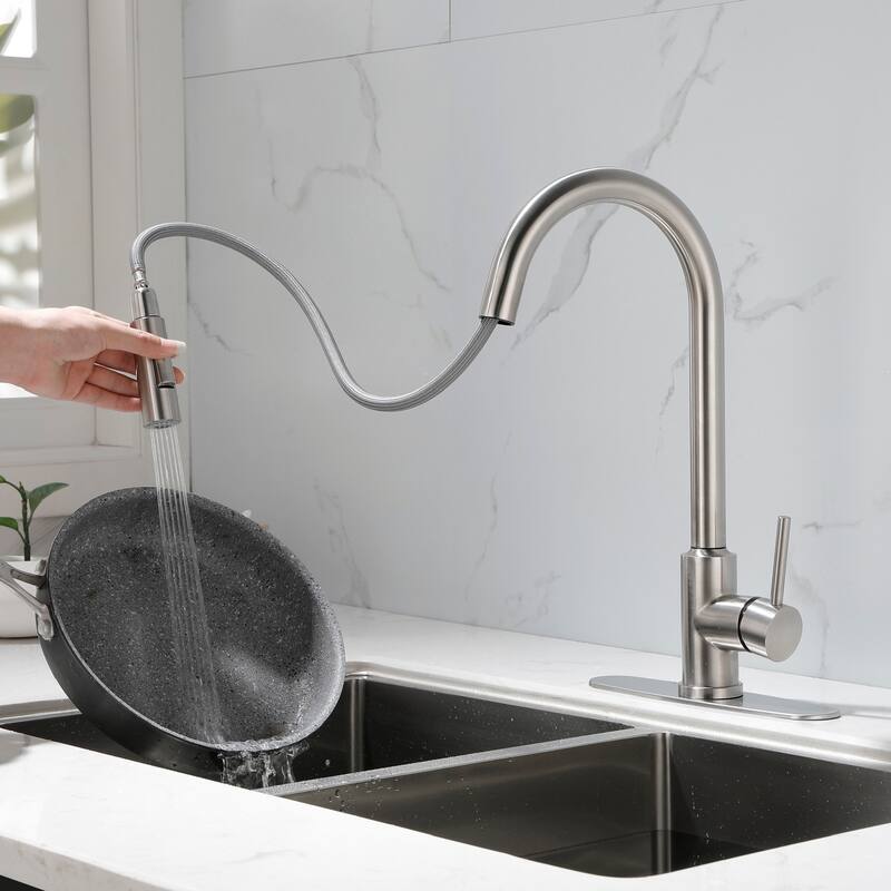 2-Function 1-Handle Pulldown Kitchen Faucet