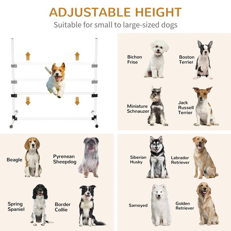6PCS Dog Agility Set with Adjustable Height Jump Bars, Carry Bag