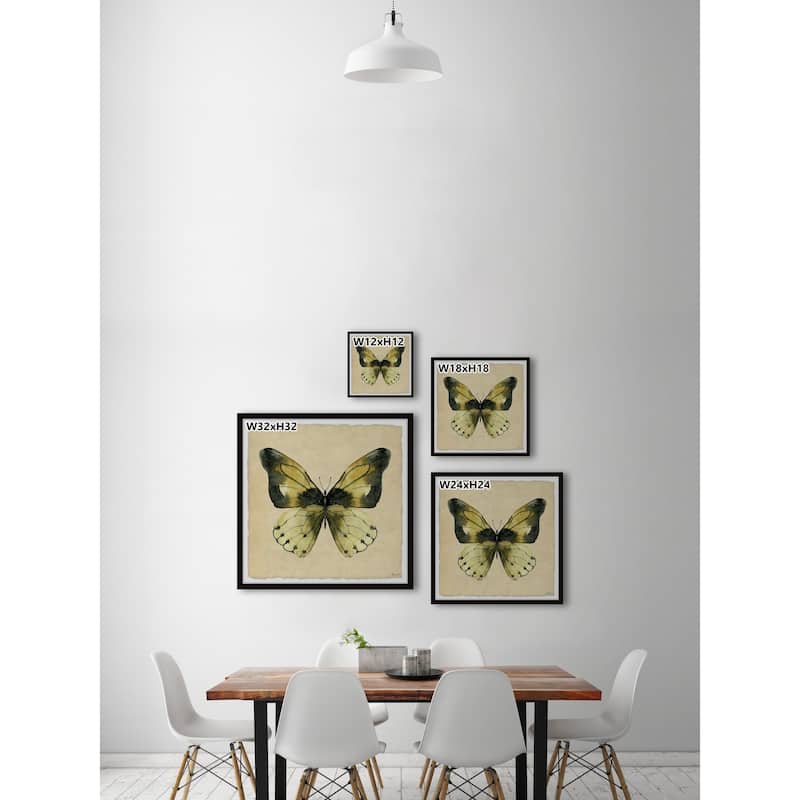 The Tropical Butterfly Framed Print