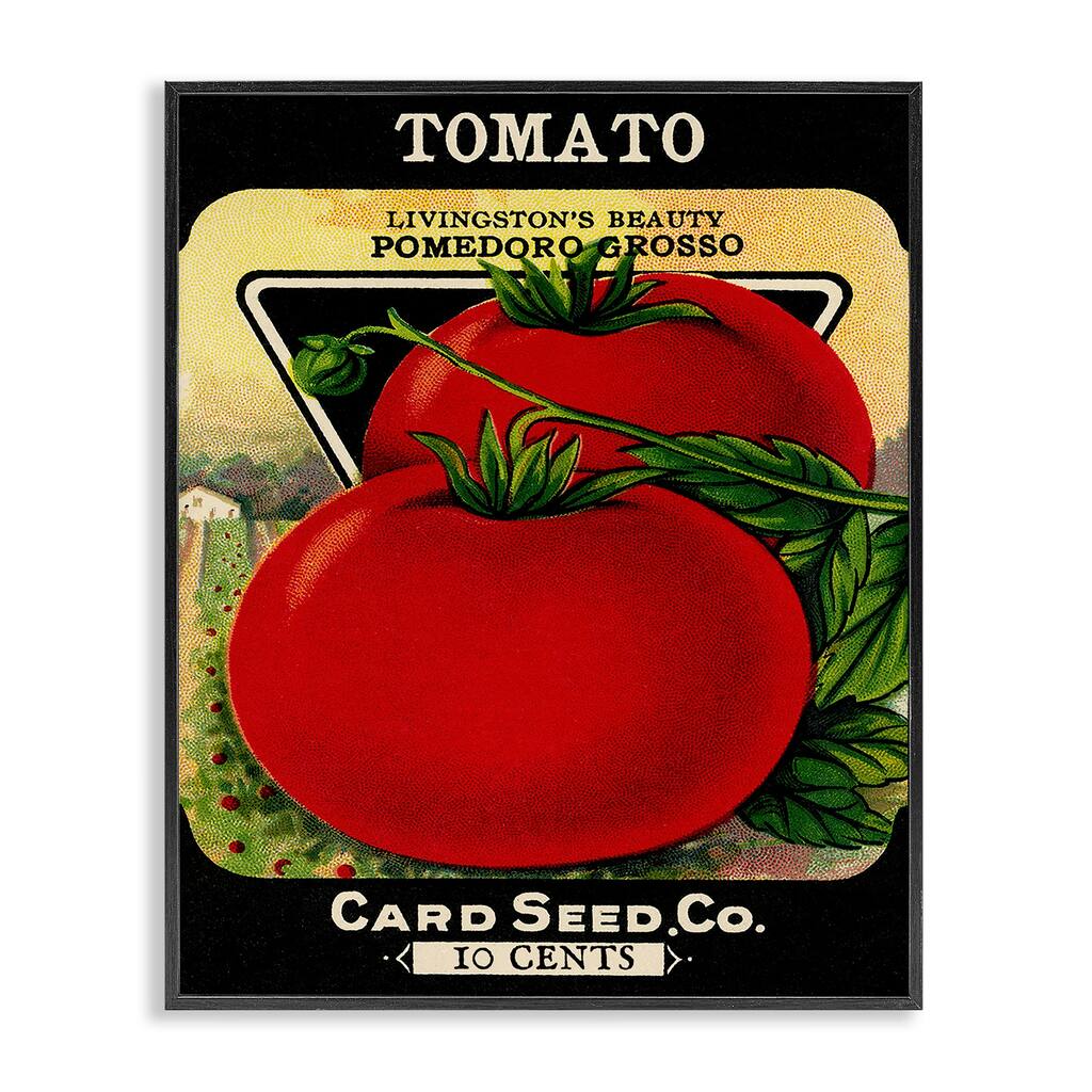 Stupell Vintage Garden Tomato Framed Giclee Art Design By Lil' Rue