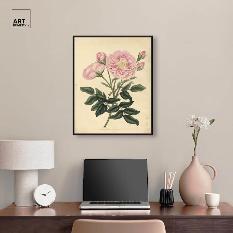 French Rose Canvas by Art Remedy