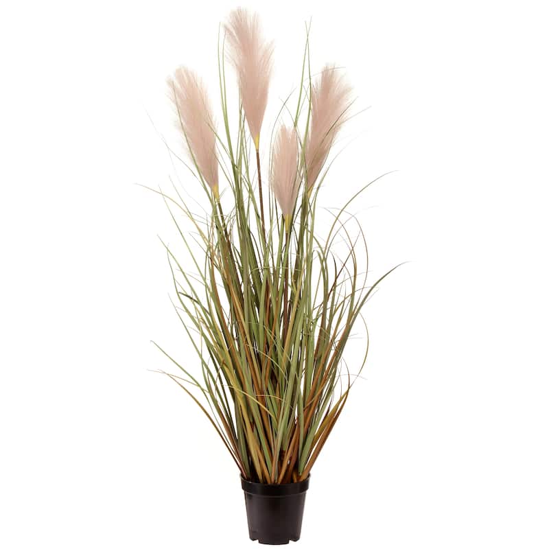 Potted Sandy Dunes Grass X 4 Plumes 36"