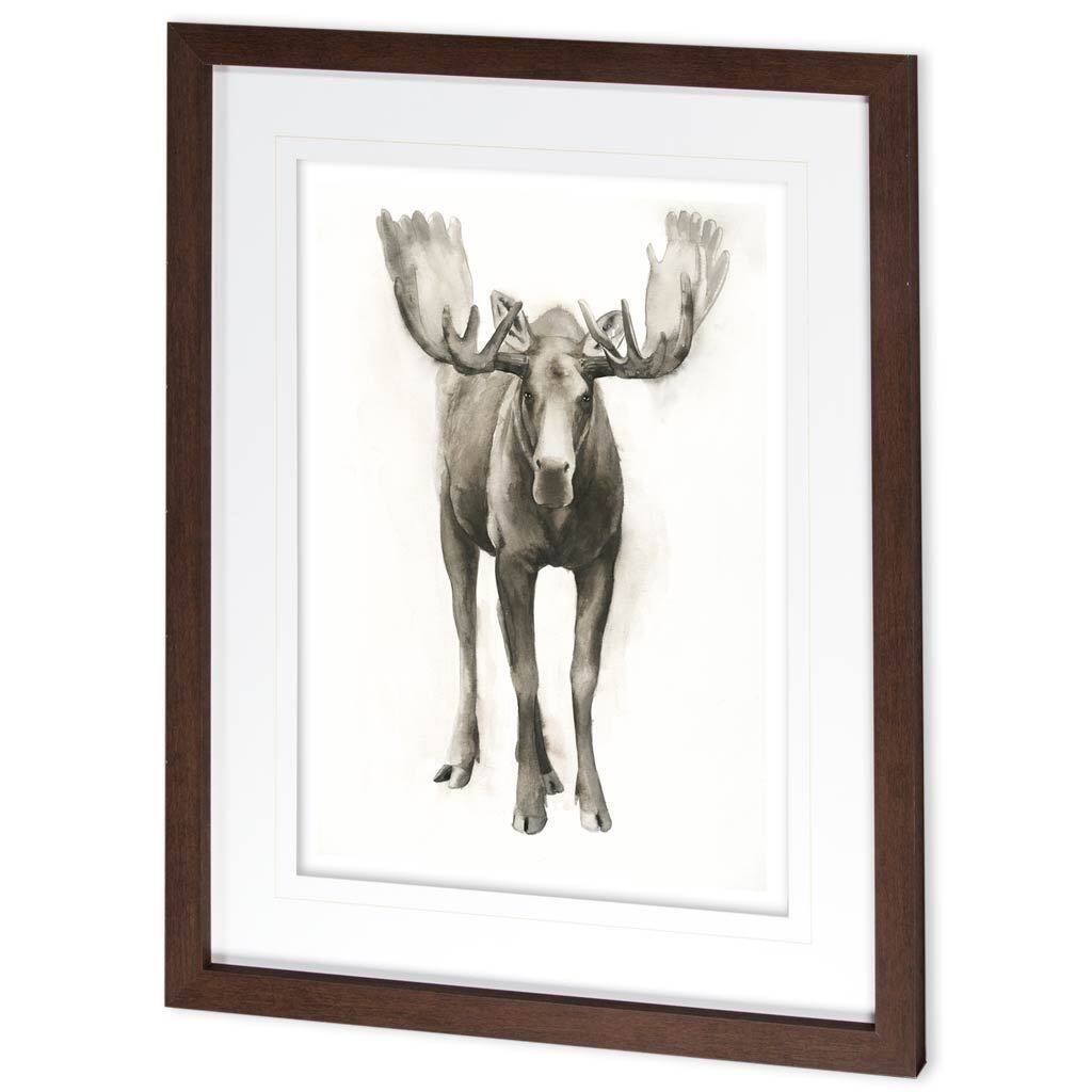Majestic Wildlife I Framed Art Print