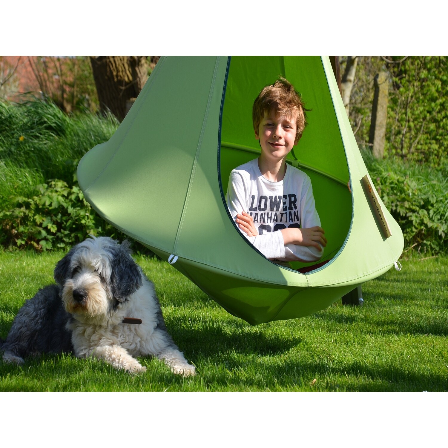 Bonsai store cacoon hammock
