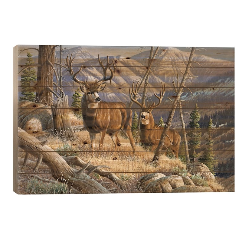 Two Mule Deer Bucks Print On Wood by Cynthie Fisher - Multi-Color - 18x26x1.5