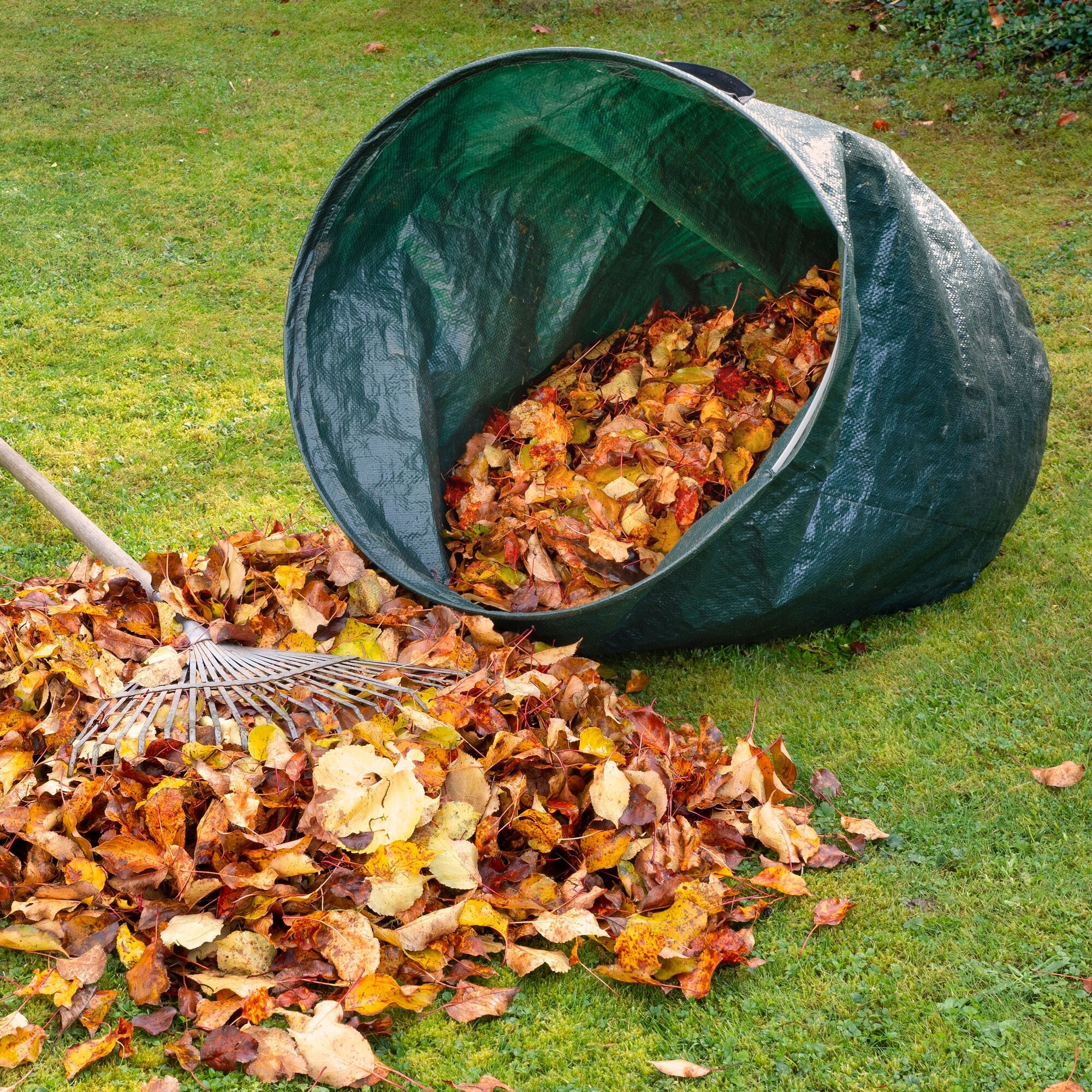 Autumn Leaves Waste Bag Dispenser
