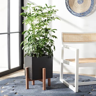 SAFAVIEH Outdoor Nynne Concrete Planter - 14Wx14Dx18H